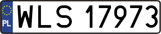 WLS17973