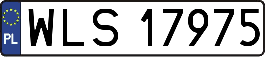 WLS17975