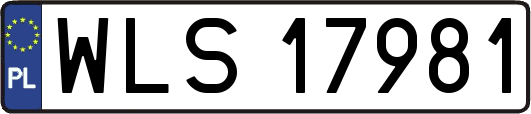 WLS17981