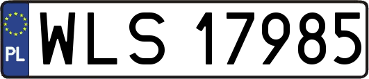 WLS17985