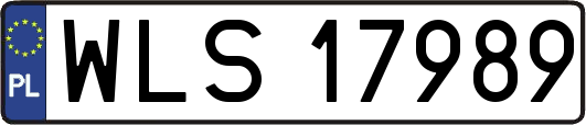 WLS17989