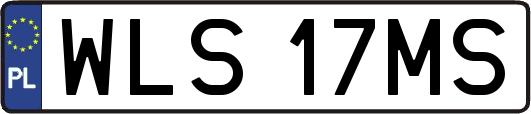 WLS17MS