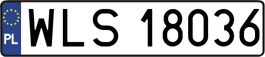 WLS18036