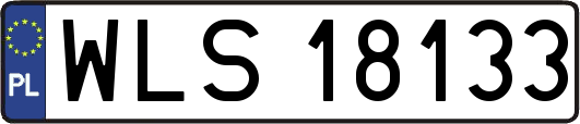 WLS18133
