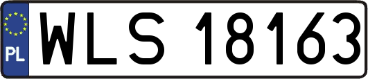 WLS18163