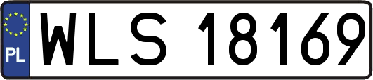 WLS18169