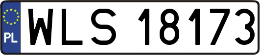 WLS18173