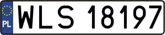 WLS18197