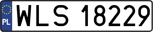 WLS18229