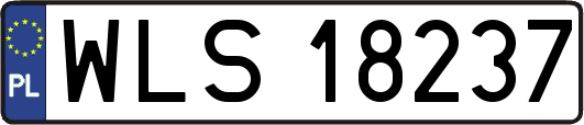 WLS18237