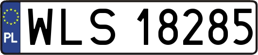 WLS18285