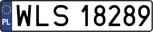 WLS18289