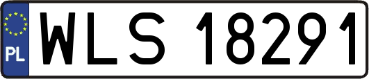 WLS18291