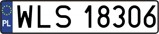 WLS18306