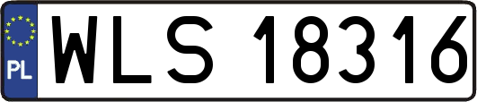WLS18316