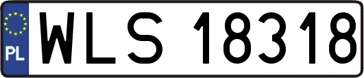 WLS18318