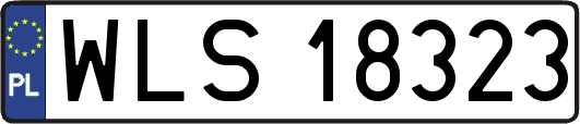 WLS18323