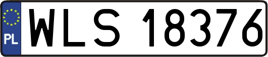 WLS18376