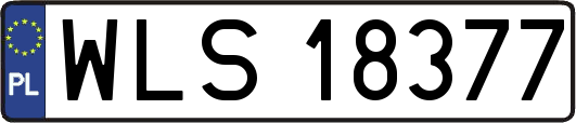 WLS18377