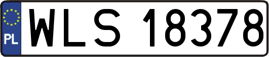 WLS18378