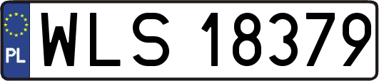 WLS18379