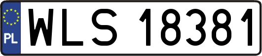 WLS18381
