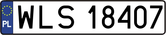 WLS18407
