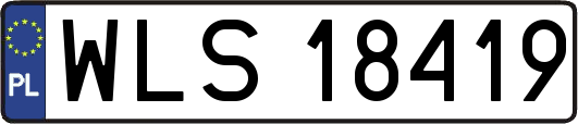 WLS18419
