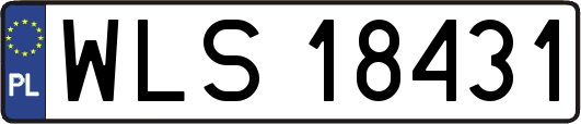 WLS18431