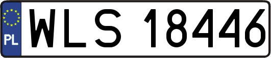WLS18446