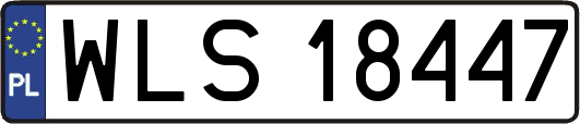 WLS18447