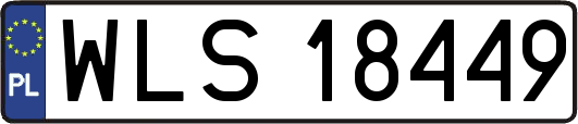 WLS18449