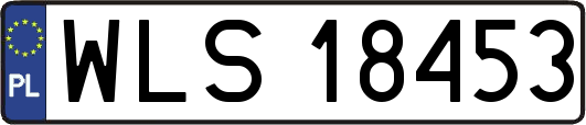WLS18453