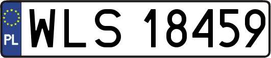 WLS18459