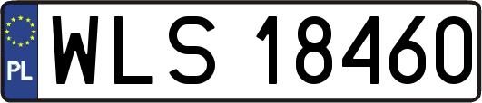 WLS18460