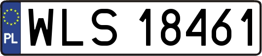 WLS18461