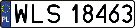 WLS18463