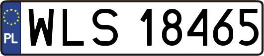 WLS18465