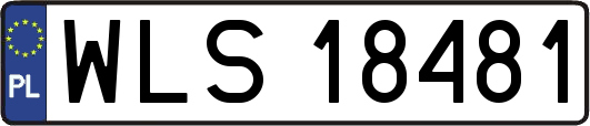 WLS18481
