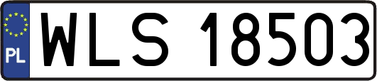 WLS18503