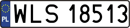 WLS18513