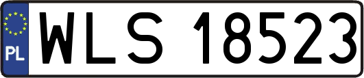 WLS18523