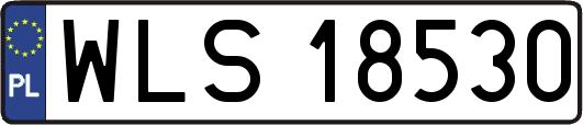 WLS18530