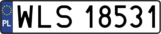 WLS18531
