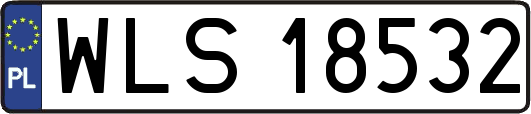WLS18532