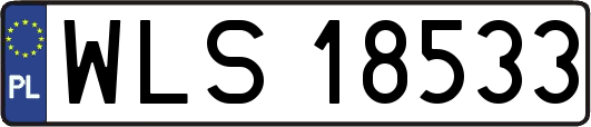 WLS18533