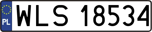 WLS18534