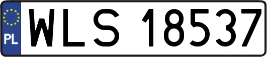 WLS18537