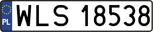 WLS18538