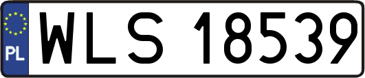 WLS18539